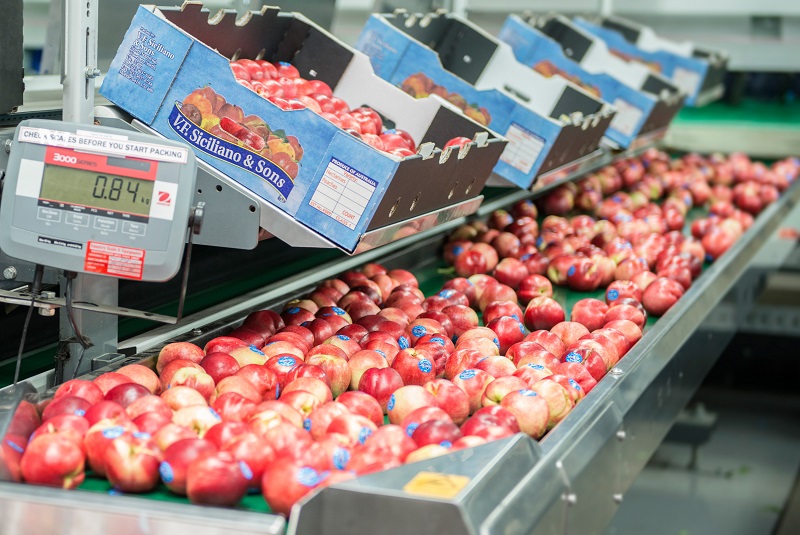 australian nectarines for export to China Huizhan